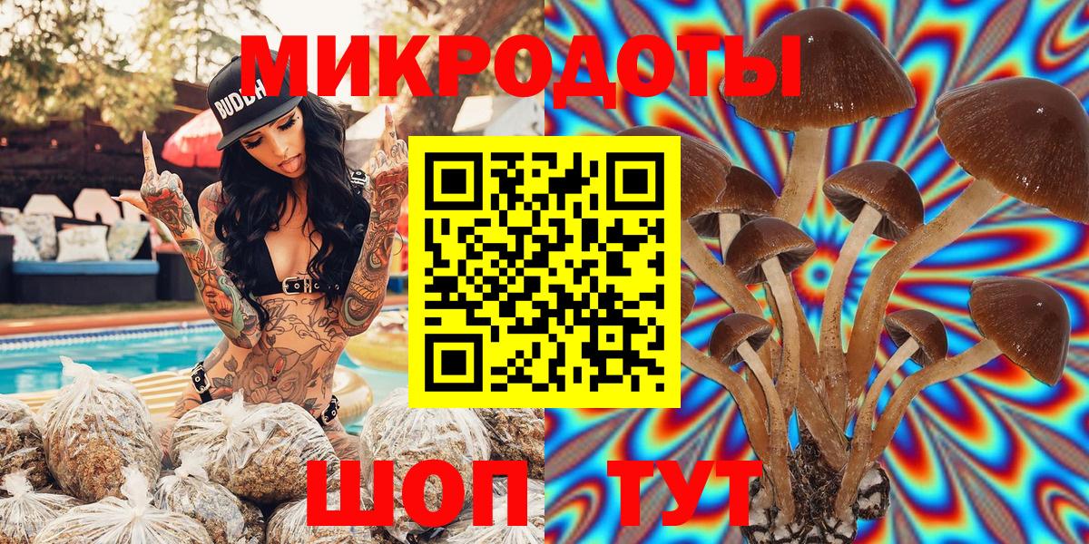 Галлюциногенные грибы GOLDEN TEACHER  Вход с VPN  Кирово-Чепецк 