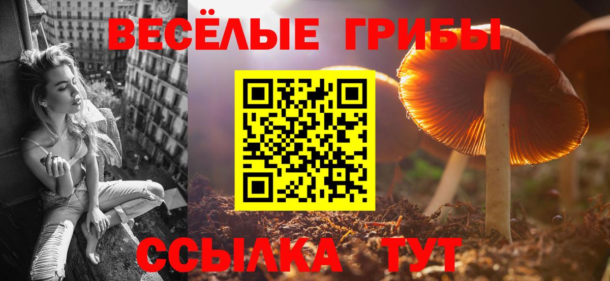 Галлюциногенные грибы мицелий Кирово-Чепецк